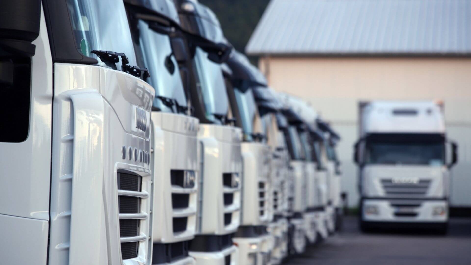 Custom Logistics Solutions